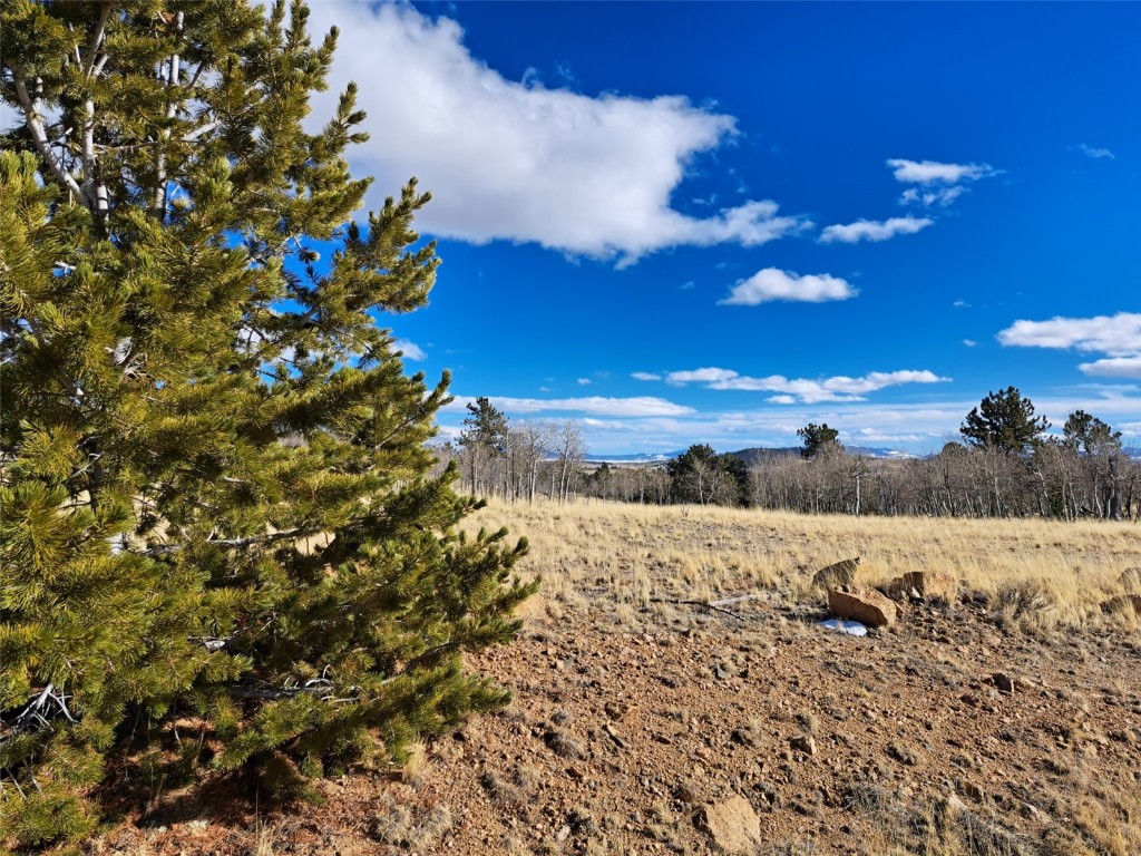 560 Raven Way Como, CO 80432 - Photo 1 of 20 Gallery Image 1