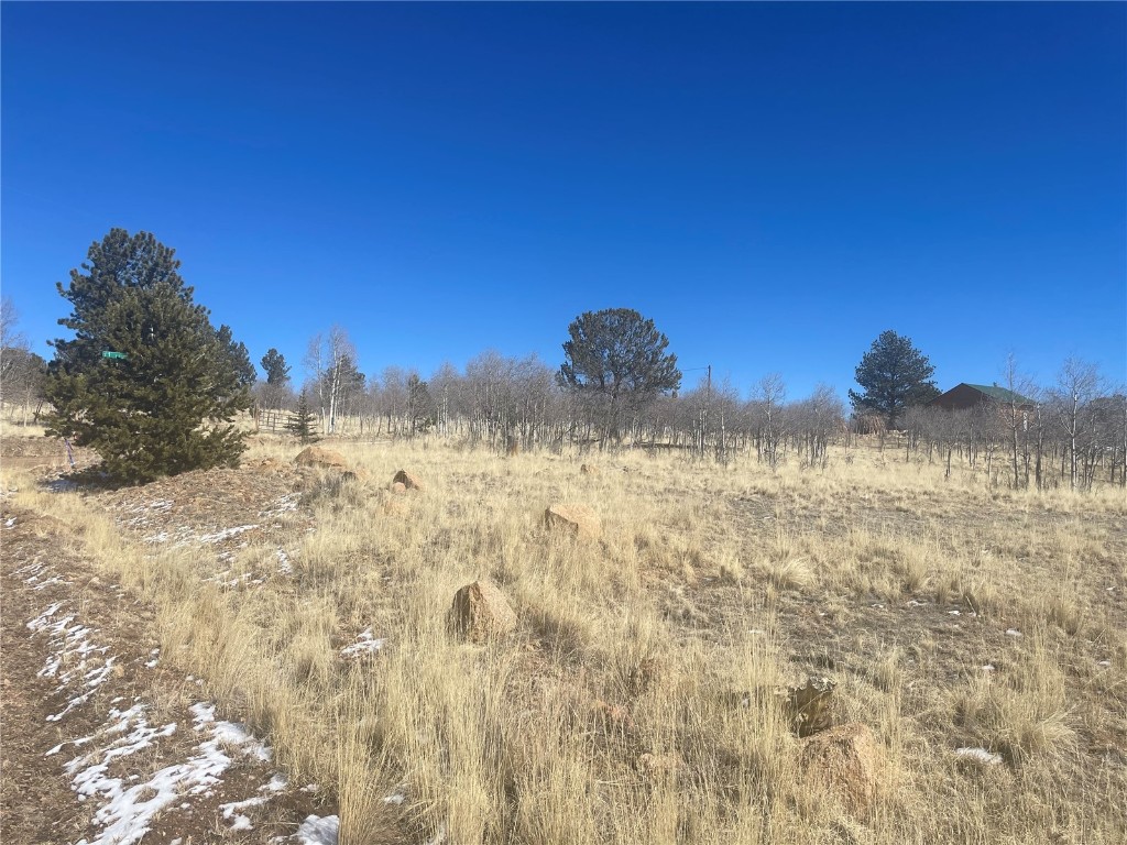 560 Raven Way Como, CO 80432 - Photo 13 of 20 Gallery Image 13