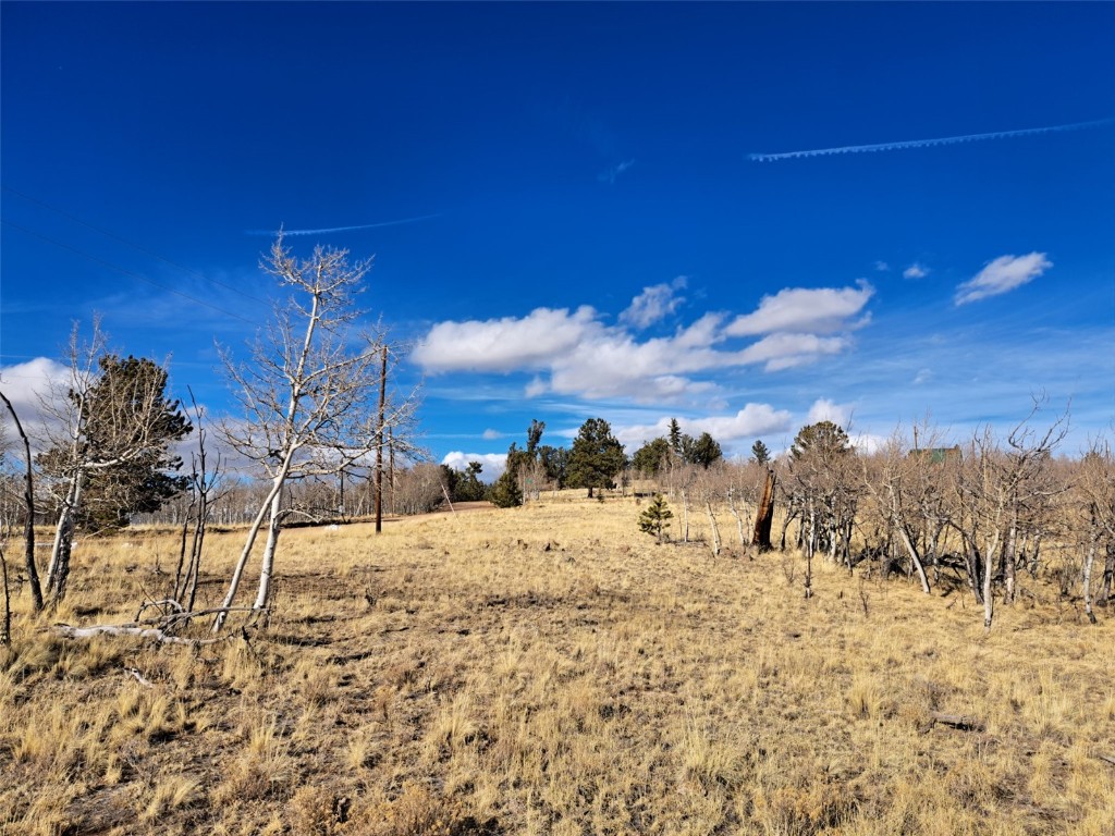 560 Raven Way Como, CO 80432 - Photo 17 of 20 Gallery Image 17