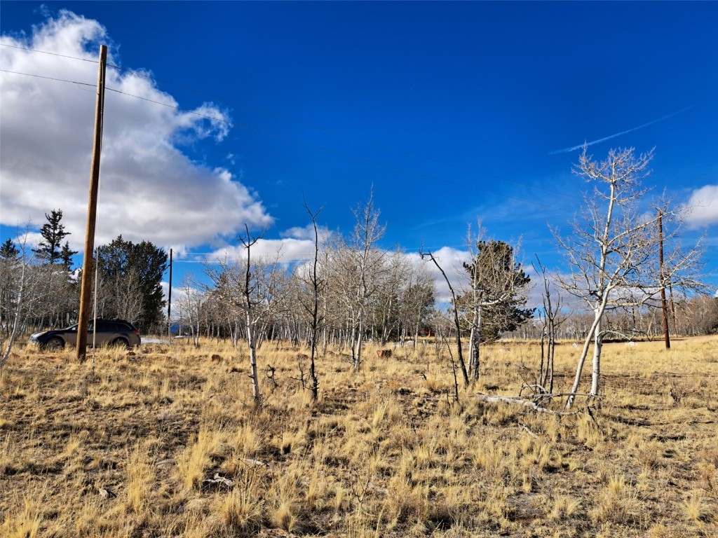560 Raven Way Como, CO 80432 - Photo 2 of 20 Gallery Image 2