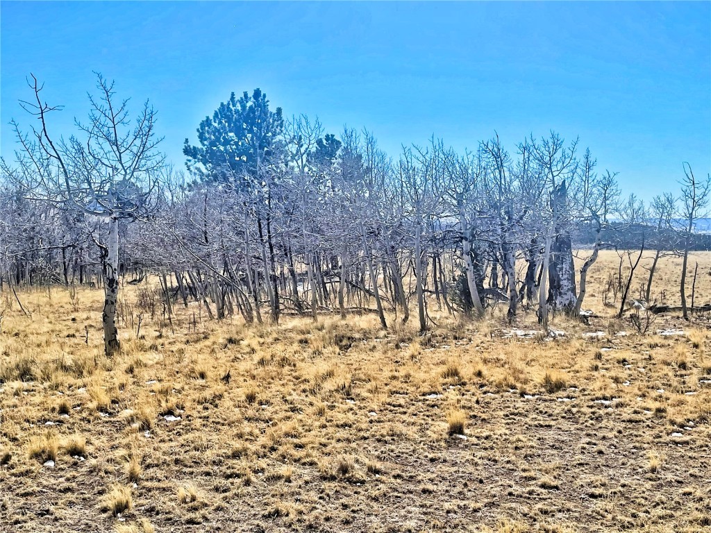 560 Raven Way Como, CO 80432 - Photo 9 of 20 Gallery Image 9