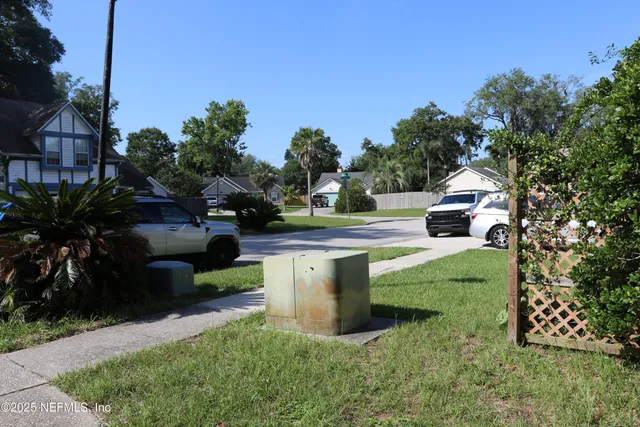 a view of a garden with plants