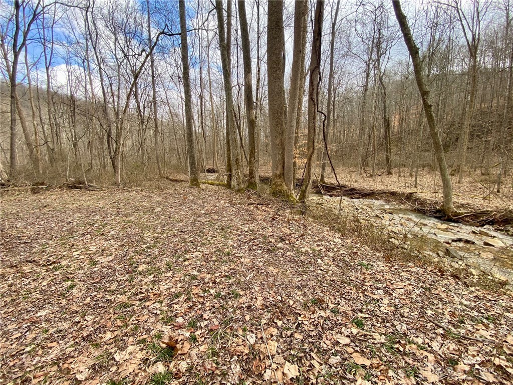 20 Beech Fork Road Lucasville, OH 45648 - Photo 7 of 17