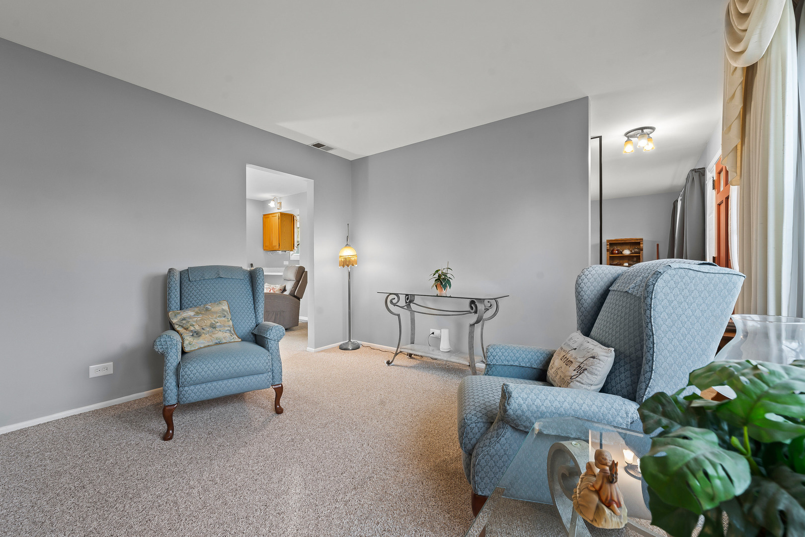 18449 Rae Lane Gurnee, IL 60031 - Photo 5 of 23