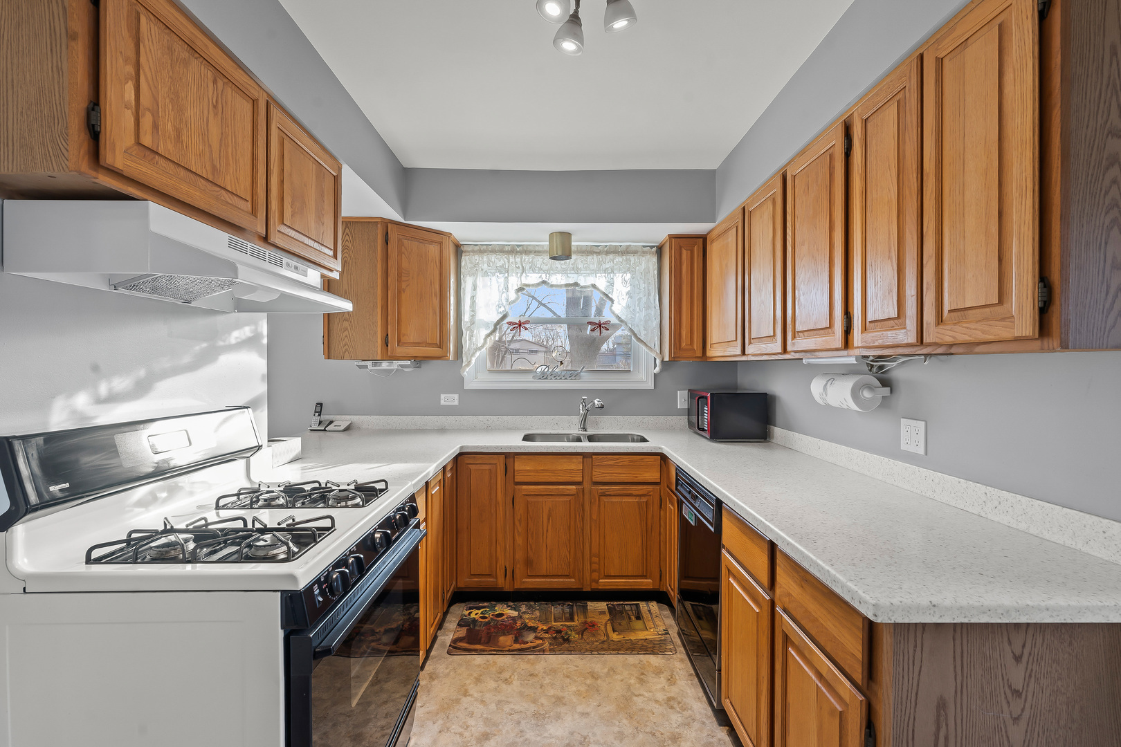 18449 Rae Lane Gurnee, IL 60031 - Photo 8 of 23