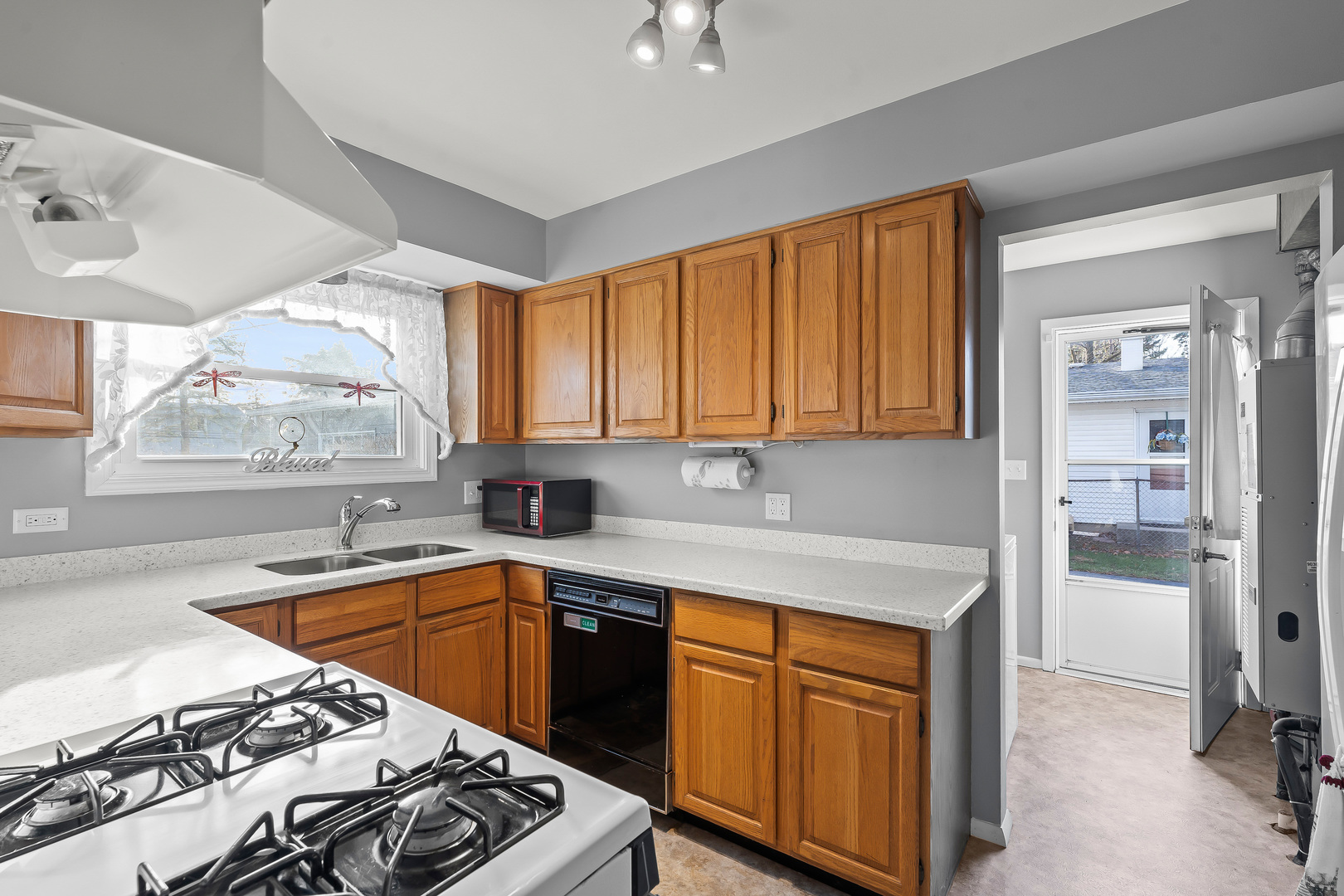 18449 Rae Lane Gurnee, IL 60031 - Photo 9 of 23