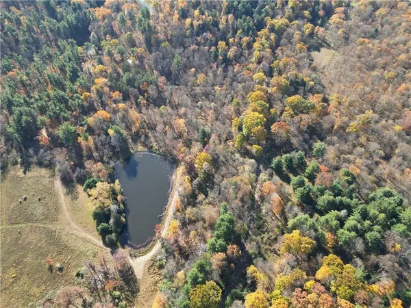 an aerial view of forest