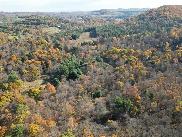 an aerial view of mountain with trees around