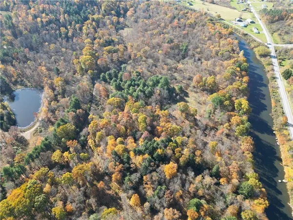 a view of a forest with a forest