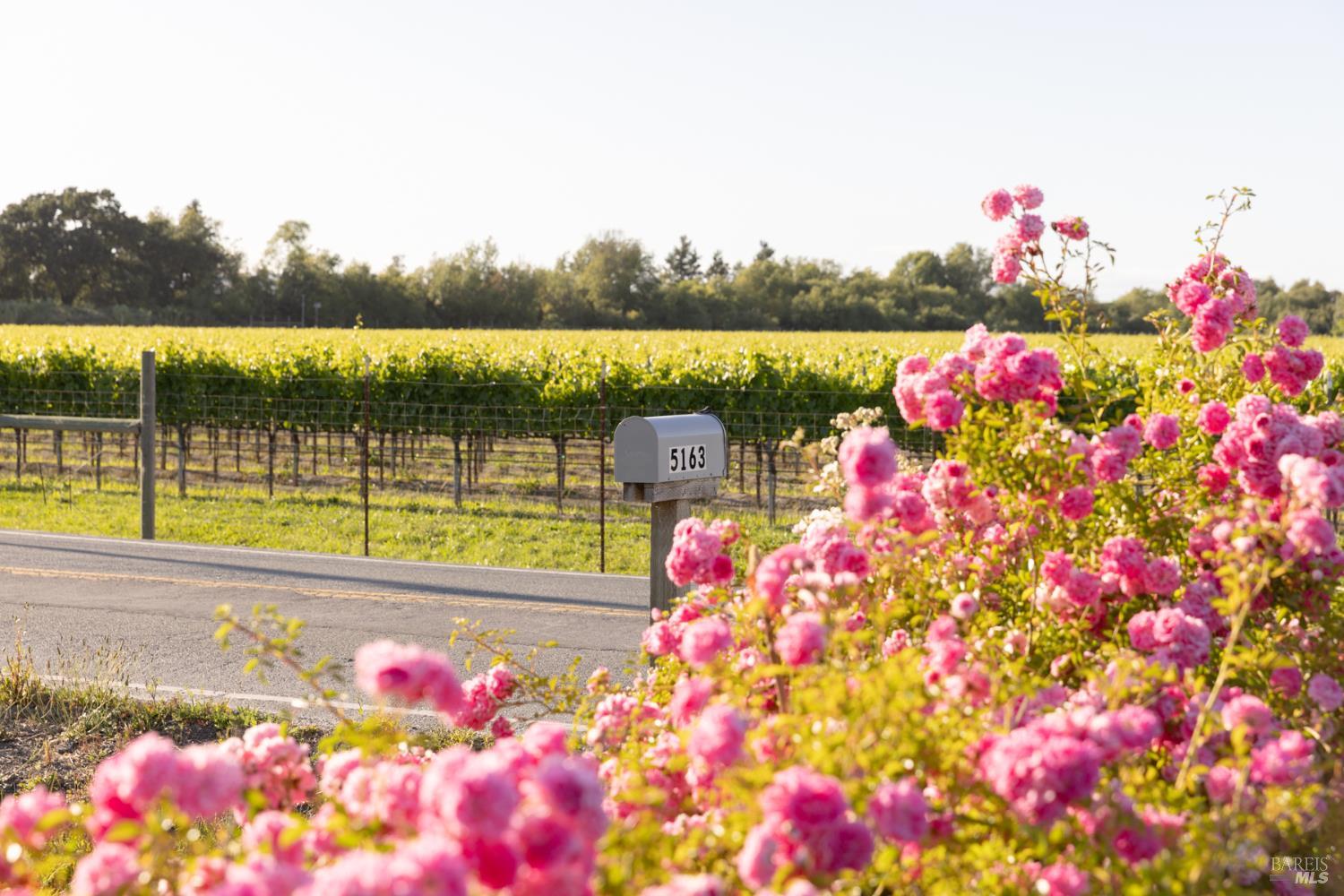 5163 Todd Road Sebastopol, CA 95472 - Photo 54 of 54
