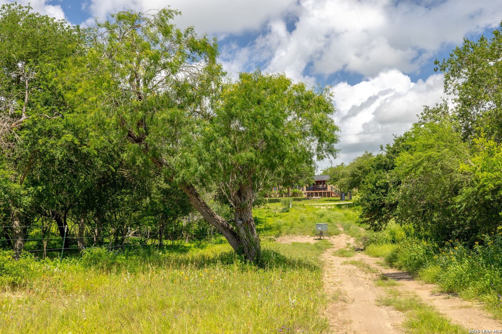 237 County Road 393 Runge, TX 78151 - Photo 4 of 19