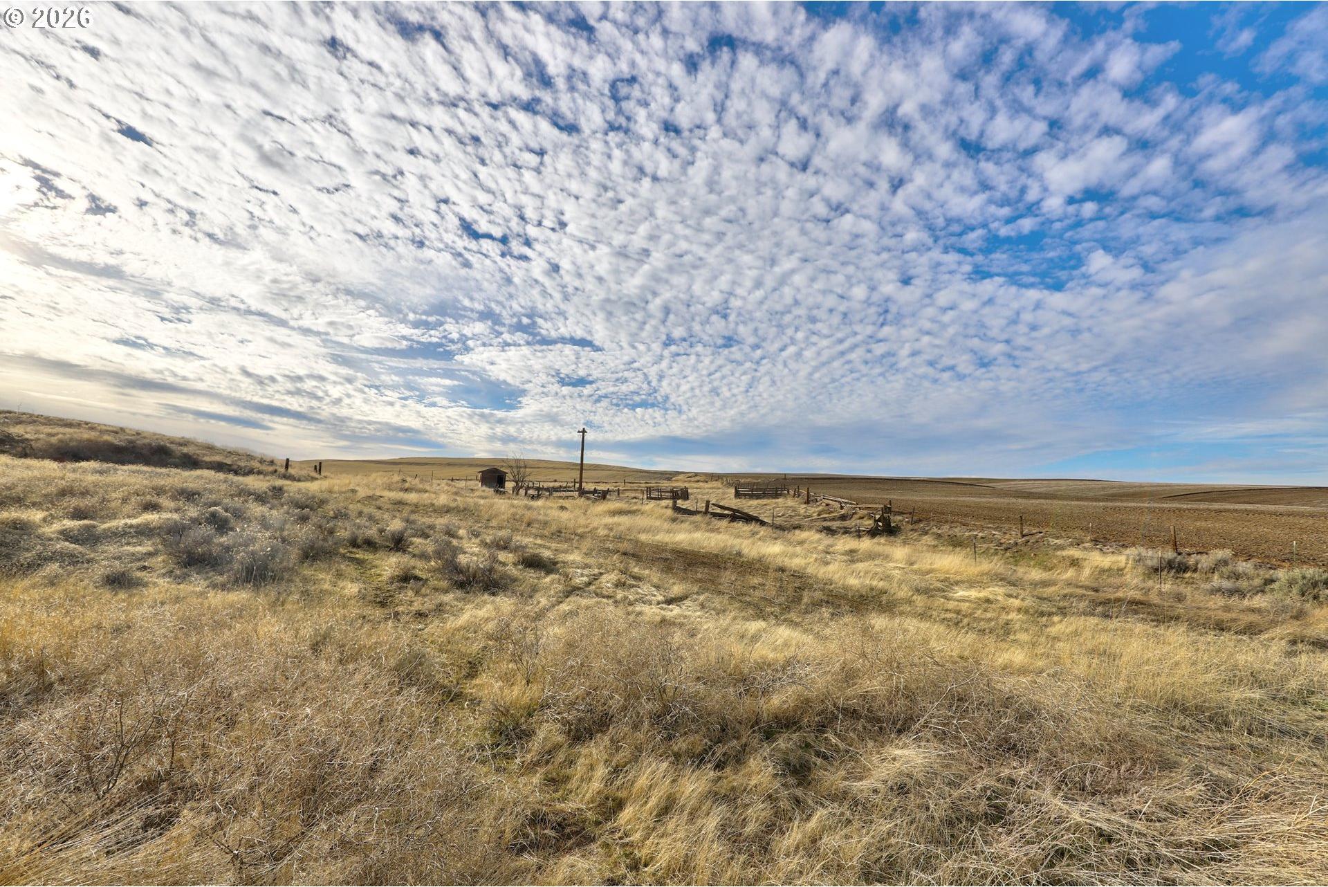 62722 Hart Road Moro, OR 97039 - Photo 1 of 20 Gallery Image 1