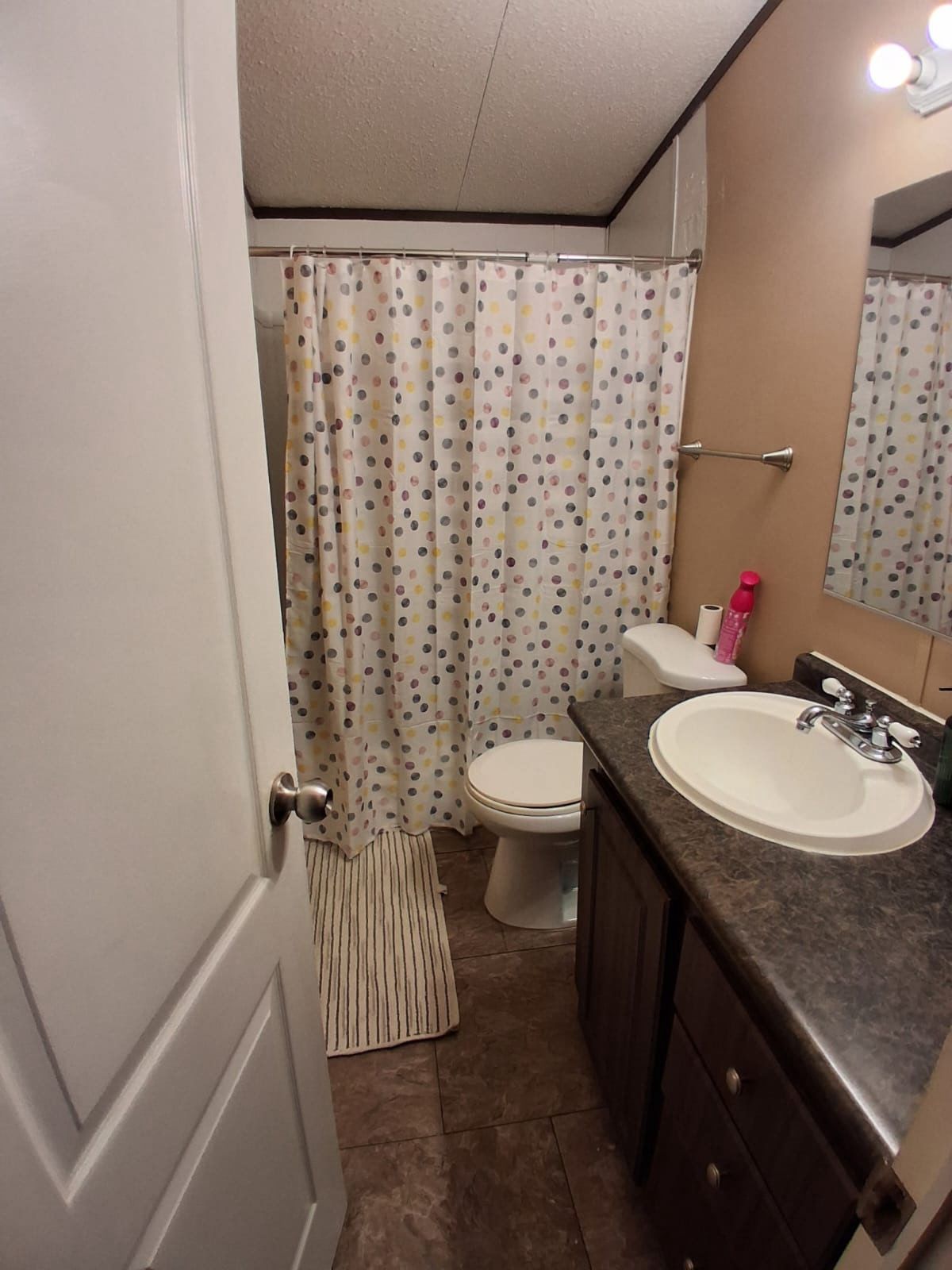 130 Gato Road Cedar Creek, TX 78612 - Photo 16 of 23 Bathroom with vanity, a shower with shower curtain, and a textured ceiling