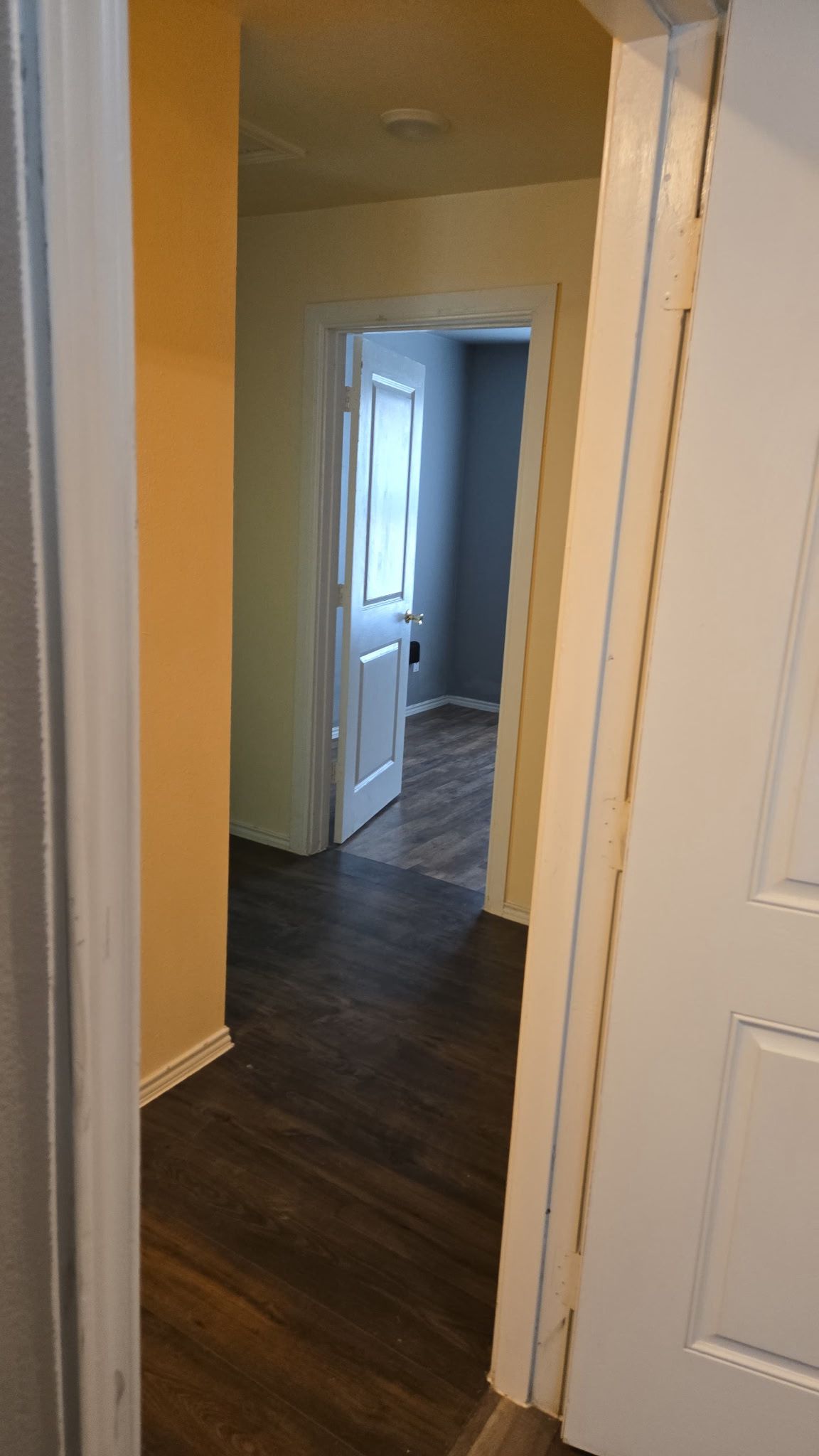 130 Gato Road Cedar Creek, TX 78612 - Photo 20 of 23 Hall featuring dark wood finished floors and baseboards