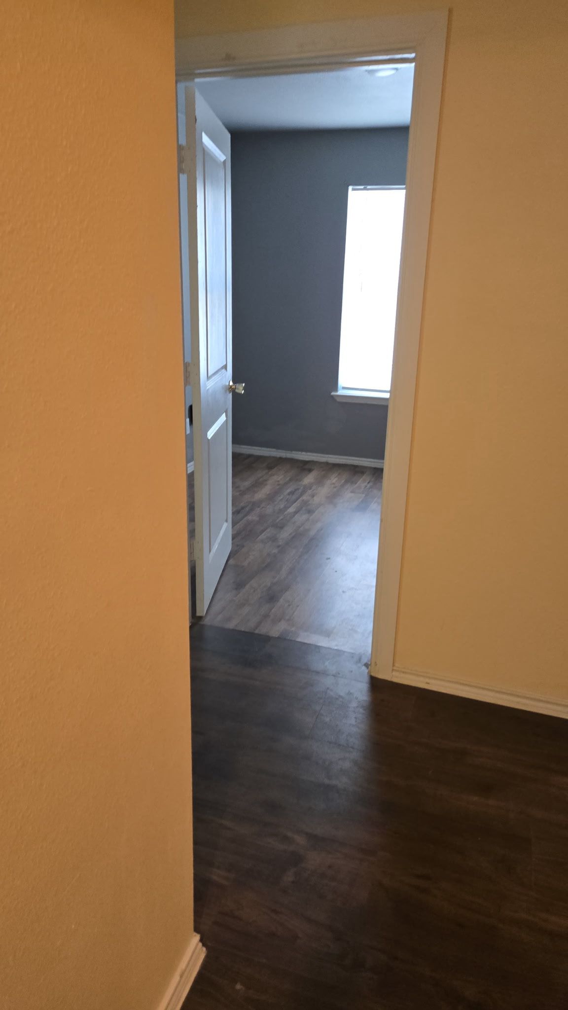 130 Gato Road Cedar Creek, TX 78612 - Photo 21 of 23 Hallway featuring baseboards and dark wood-style floors
