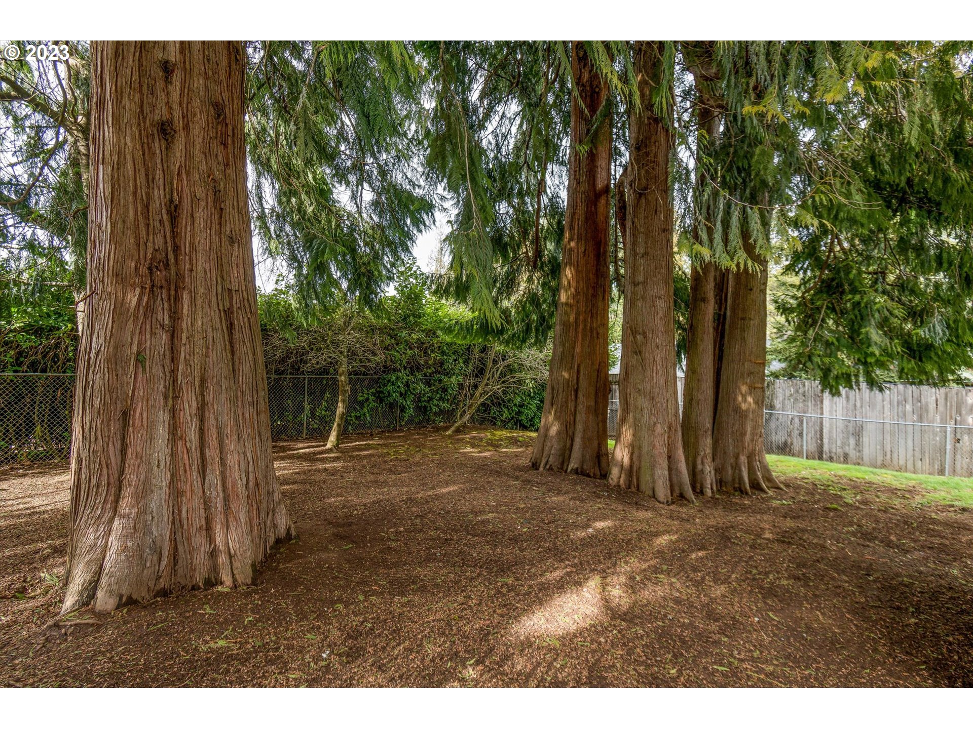 39935 Davis Street Sandy, OR 97055 - Photo 31 of 32 a backyard of a house with lots of green space