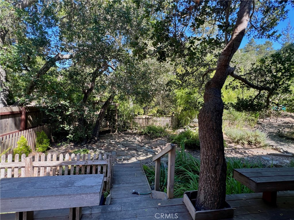 1530 Emerson Road Cambria, CA 93428 - Photo 46 of 54 Along west side of house entering the back yard