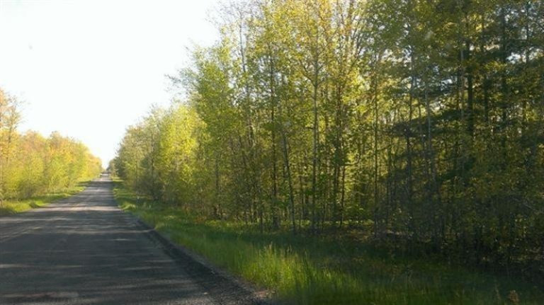 South Maple Island Road Hesperia, MI 49421 - Photo 1 of 5 Primary Photo
