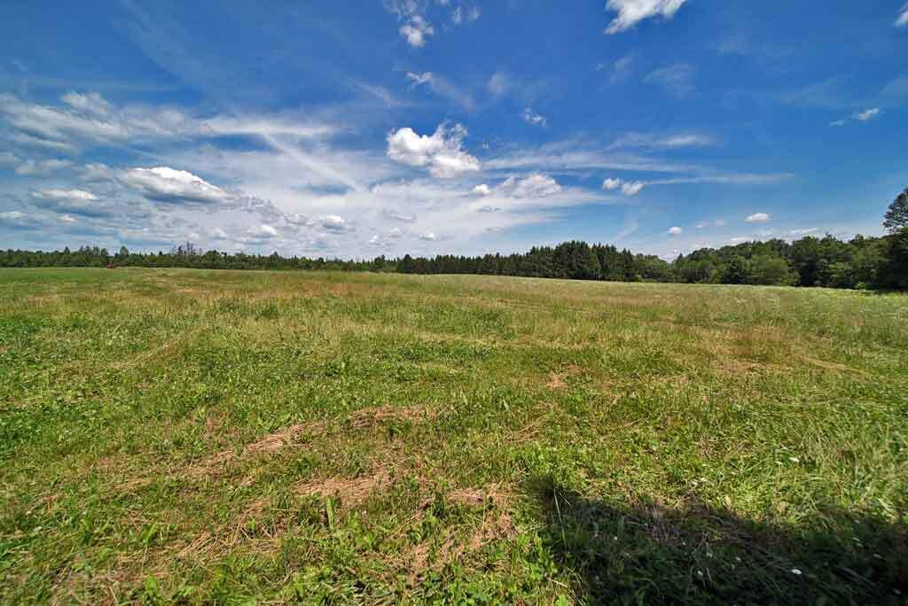Lot 7 Drews Lake Road Houlton, ME 04730 - Photo 32 of 34 me-land-farm-field