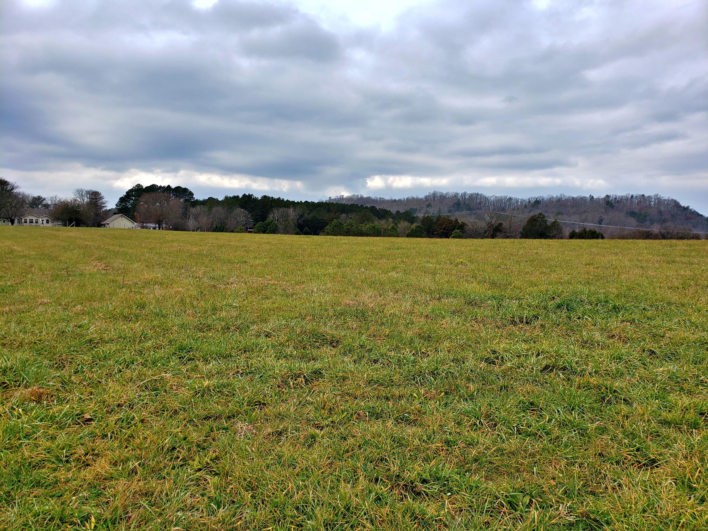 380 Thompson Bivens Road Ten Mile, TN 37880 - Photo 11 of 15 20201217_132722