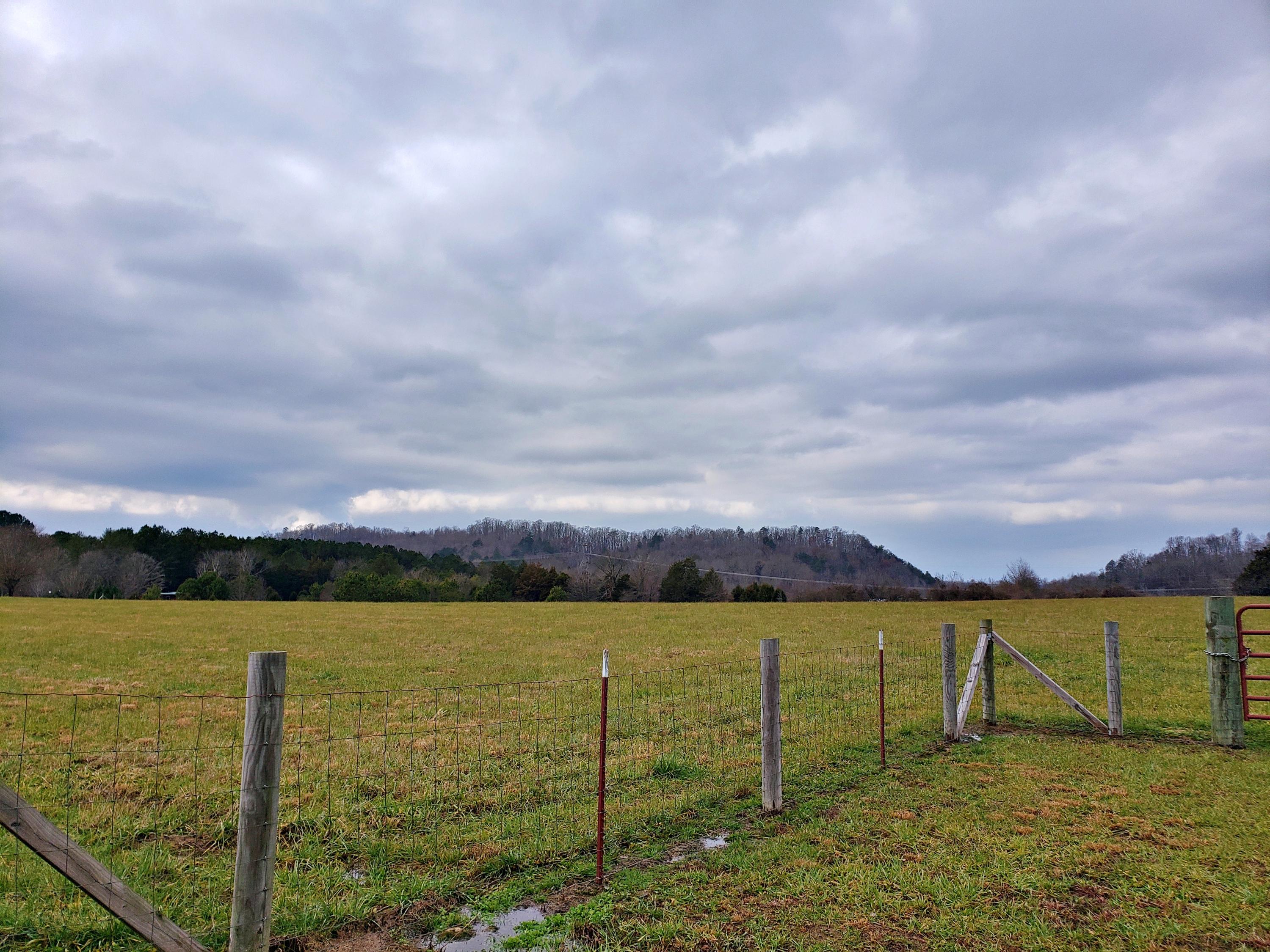 380 Thompson Bivens Road Ten Mile, TN 37880 - Photo 12 of 15 20201217_132637