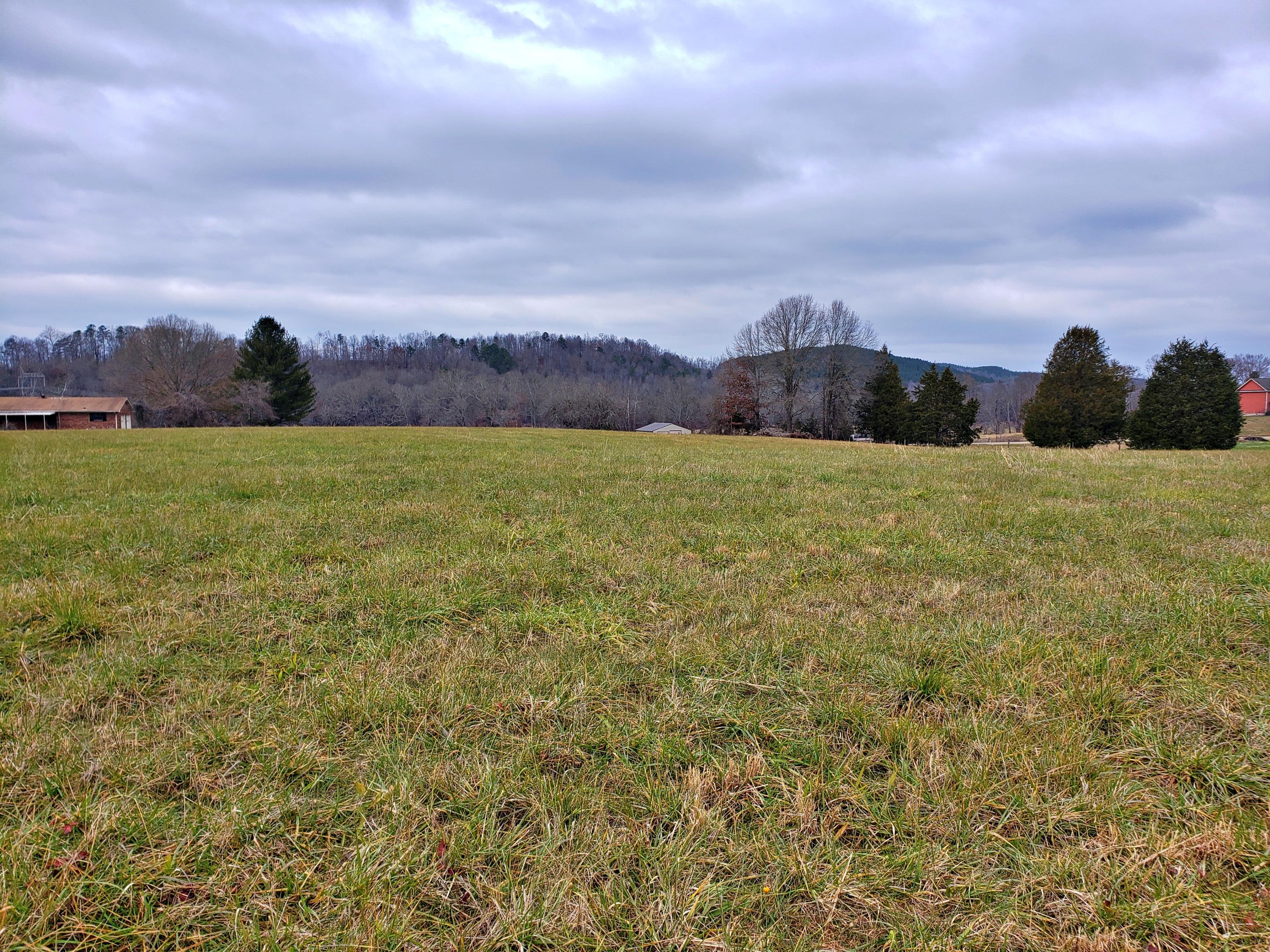 380 Thompson Bivens Road Ten Mile, TN 37880 - Photo 4 of 15 20201217_132840