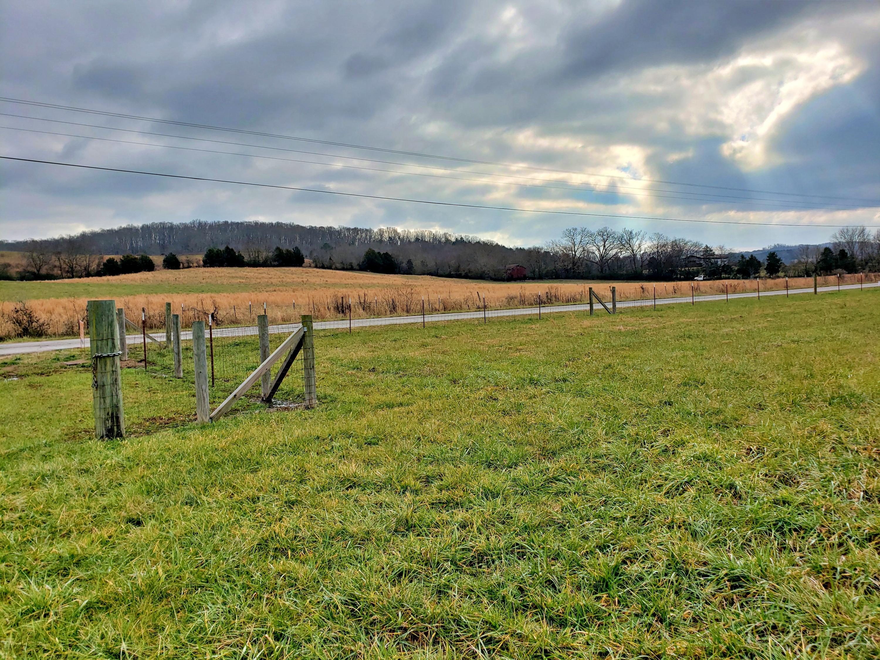 380 Thompson Bivens Road Ten Mile, TN 37880 - Photo 6 of 15 20201217_132759