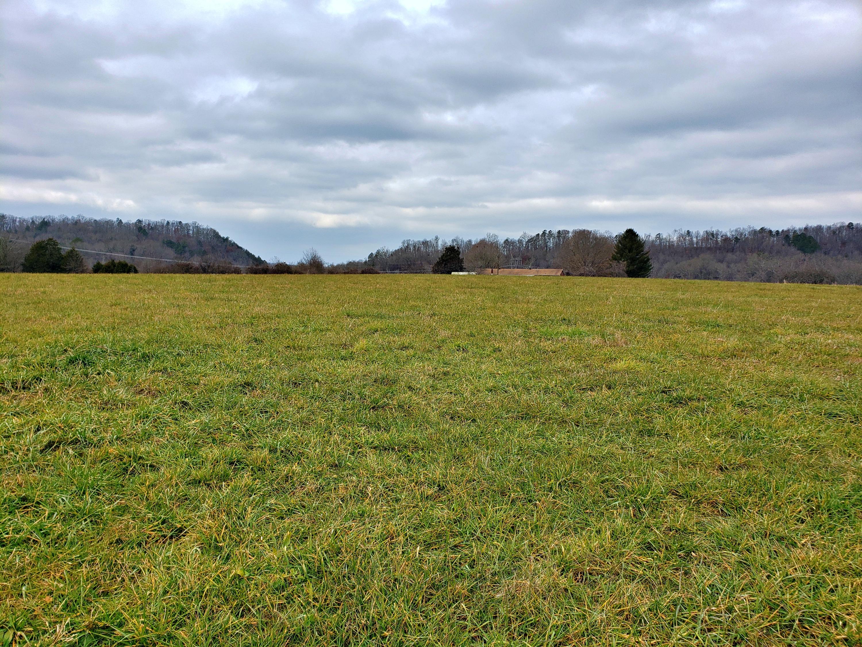 380 Thompson Bivens Road Ten Mile, TN 37880 - Photo 10 of 15 20201217_132724