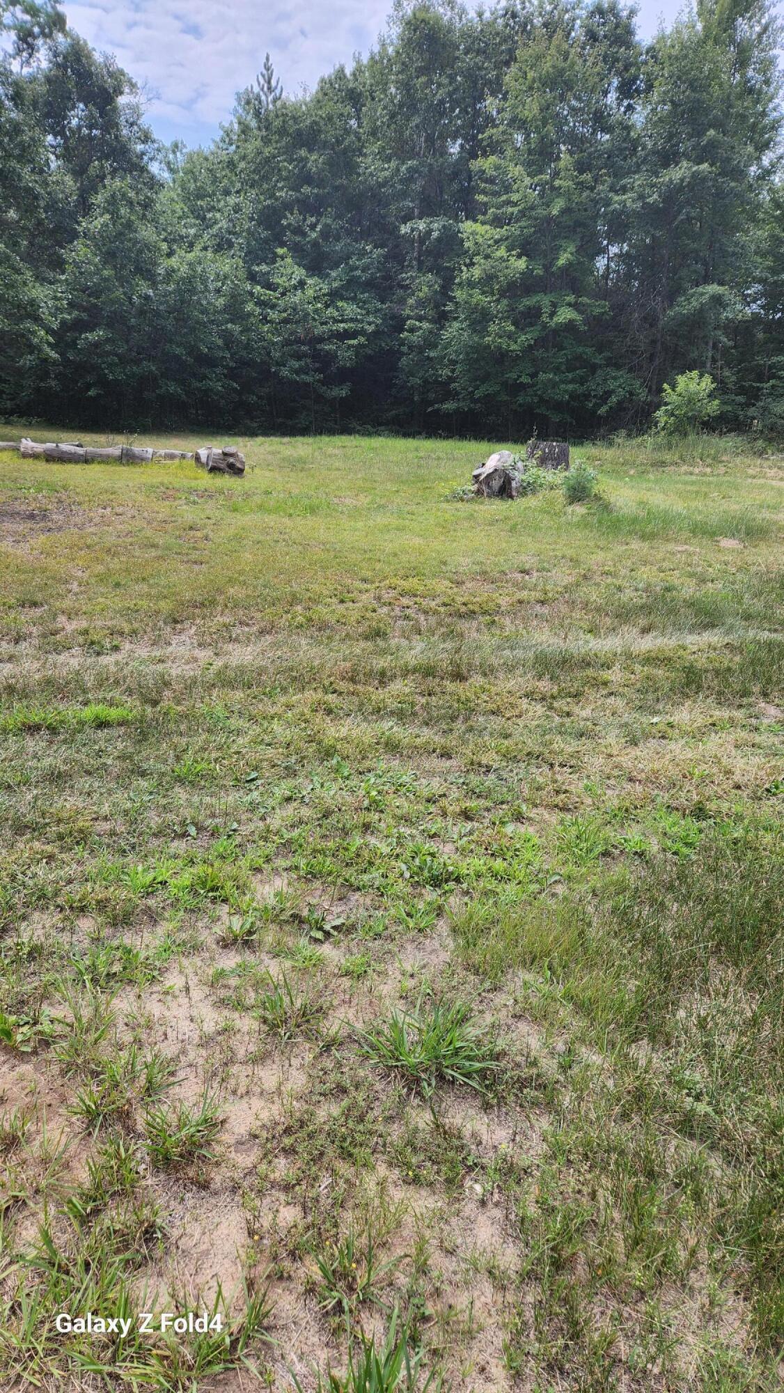 4576 Timber Lane Alger, MI 48610 - Photo 19 of 40 Front yard