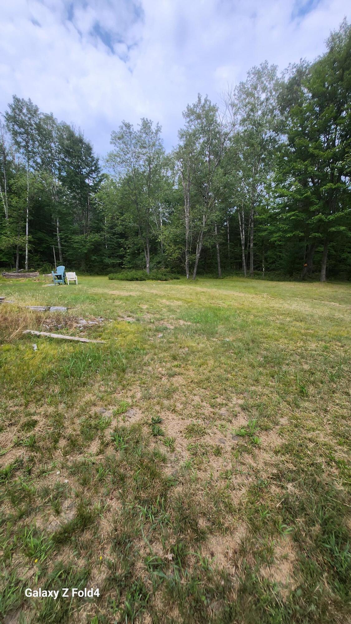 4576 Timber Lane Alger, MI 48610 - Photo 22 of 40 Backyard