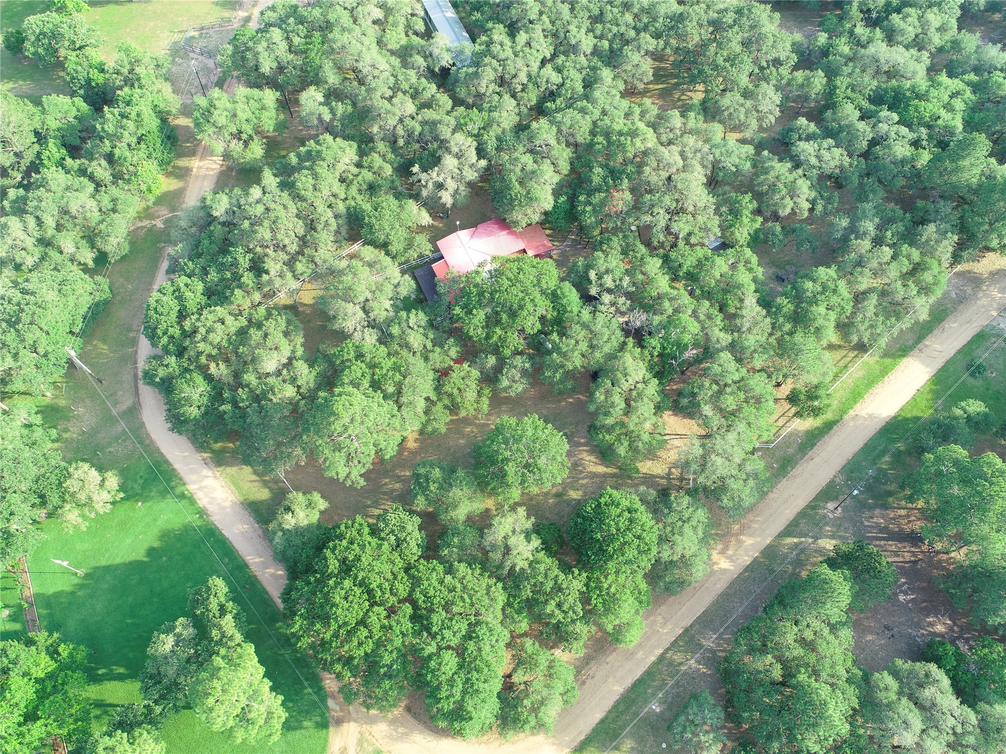 302 Bluebonnet Bend Sheridan, TX 77475 - Photo 5 of 29 a plant