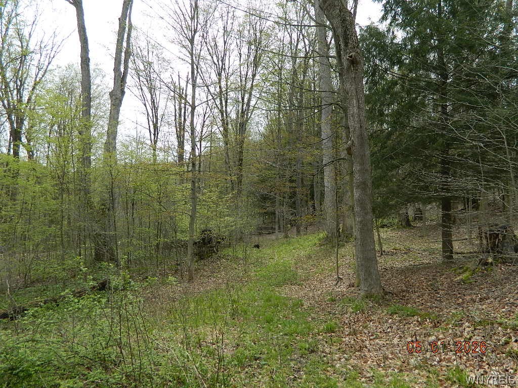 9999 Olean Road Holland, NY 14080 - Photo 8 of 28
