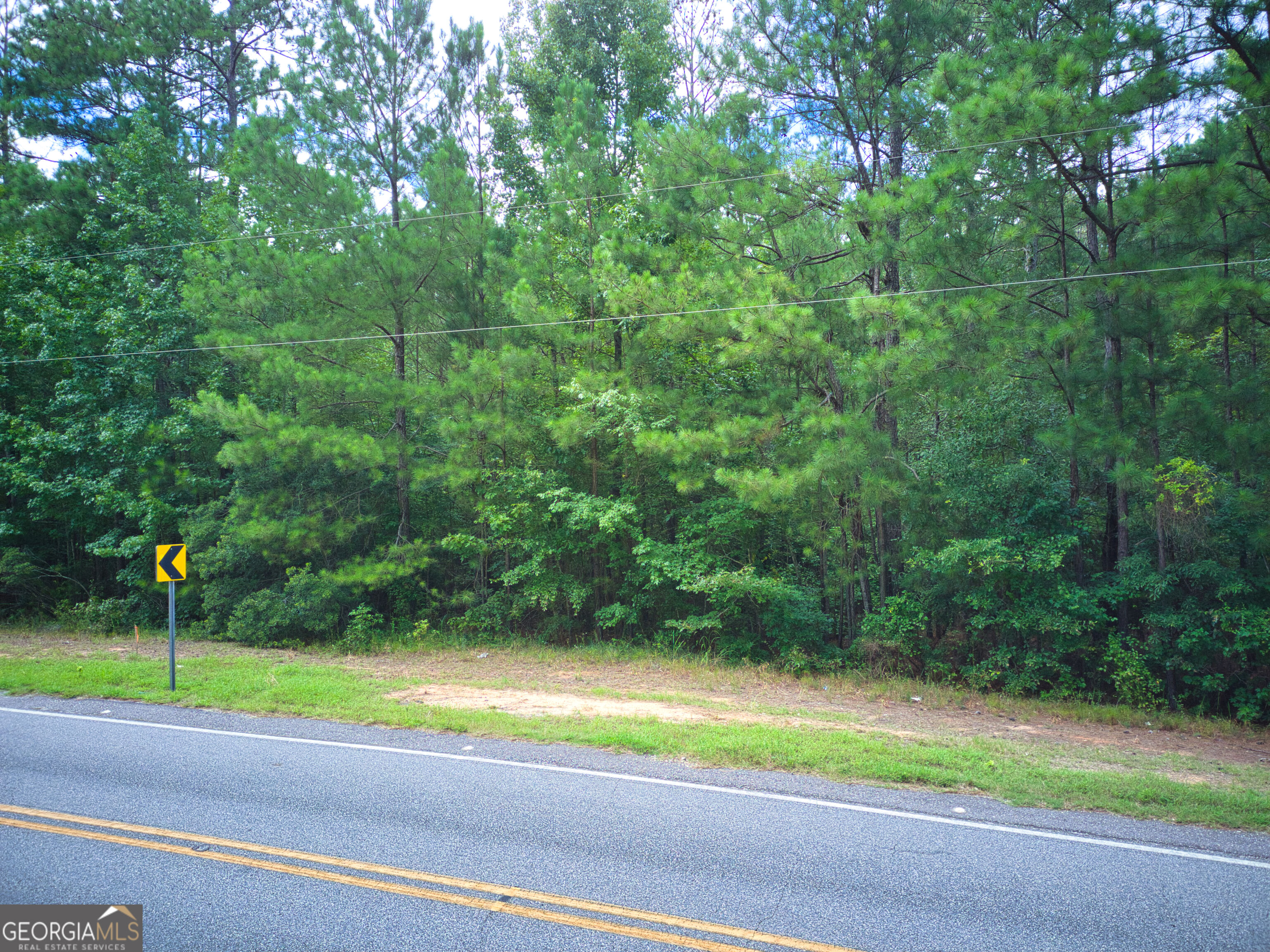 -parcel 200 Judge Brown Road Valley, AL 36854 - Photo 4 of 5 Gallery Image 4