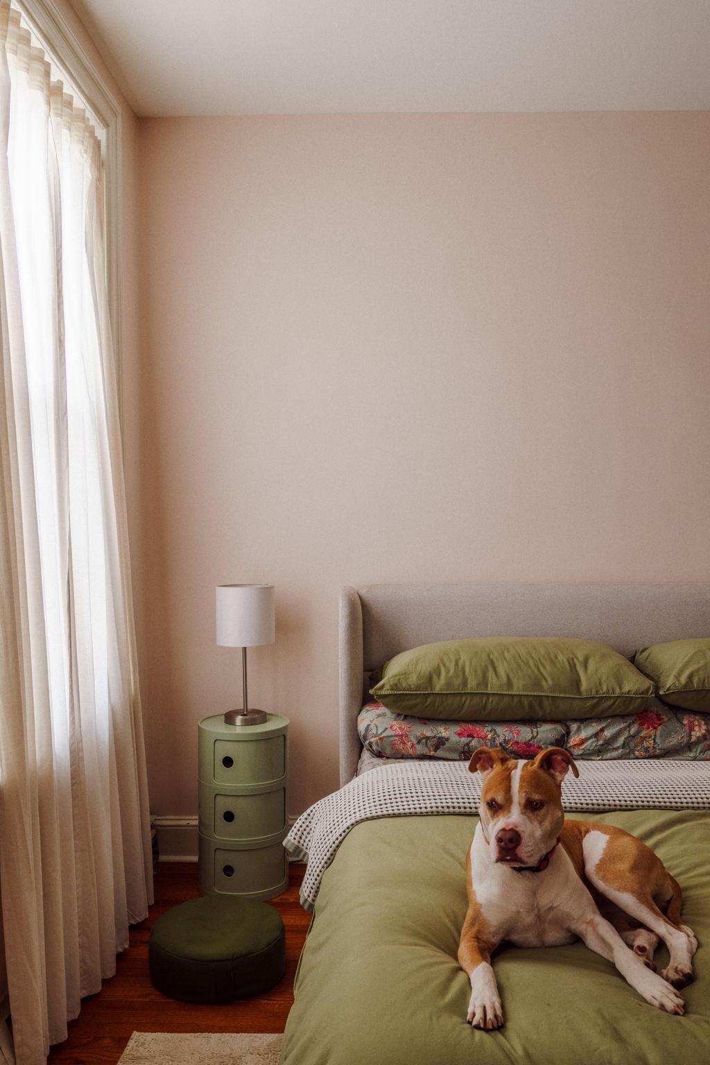 1810 Morris Street Philadelphia, PA 19145 - Photo 6 of 8 Cozy retreat with a furry companion.