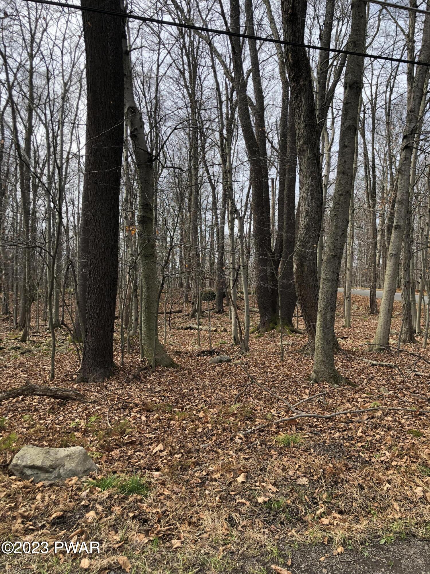 Lot 1 Beaver Run Road Newfoundland, PA 18445 - Photo 3 of 4