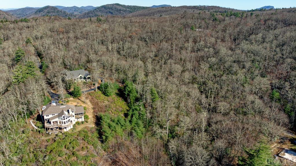 9 Blue Valley Road Highlands, NC 28741 - Photo 12 of 19 Gallery Image 12