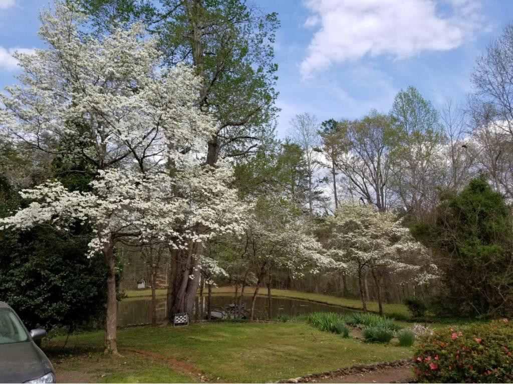 1364 Old Coach Road Graham, NC 27253 - Photo 22 of 24 Gallery Image 22