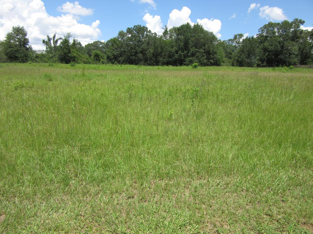 0 Prevatt Road Dothan, AL 36301 - Photo 1 of 1