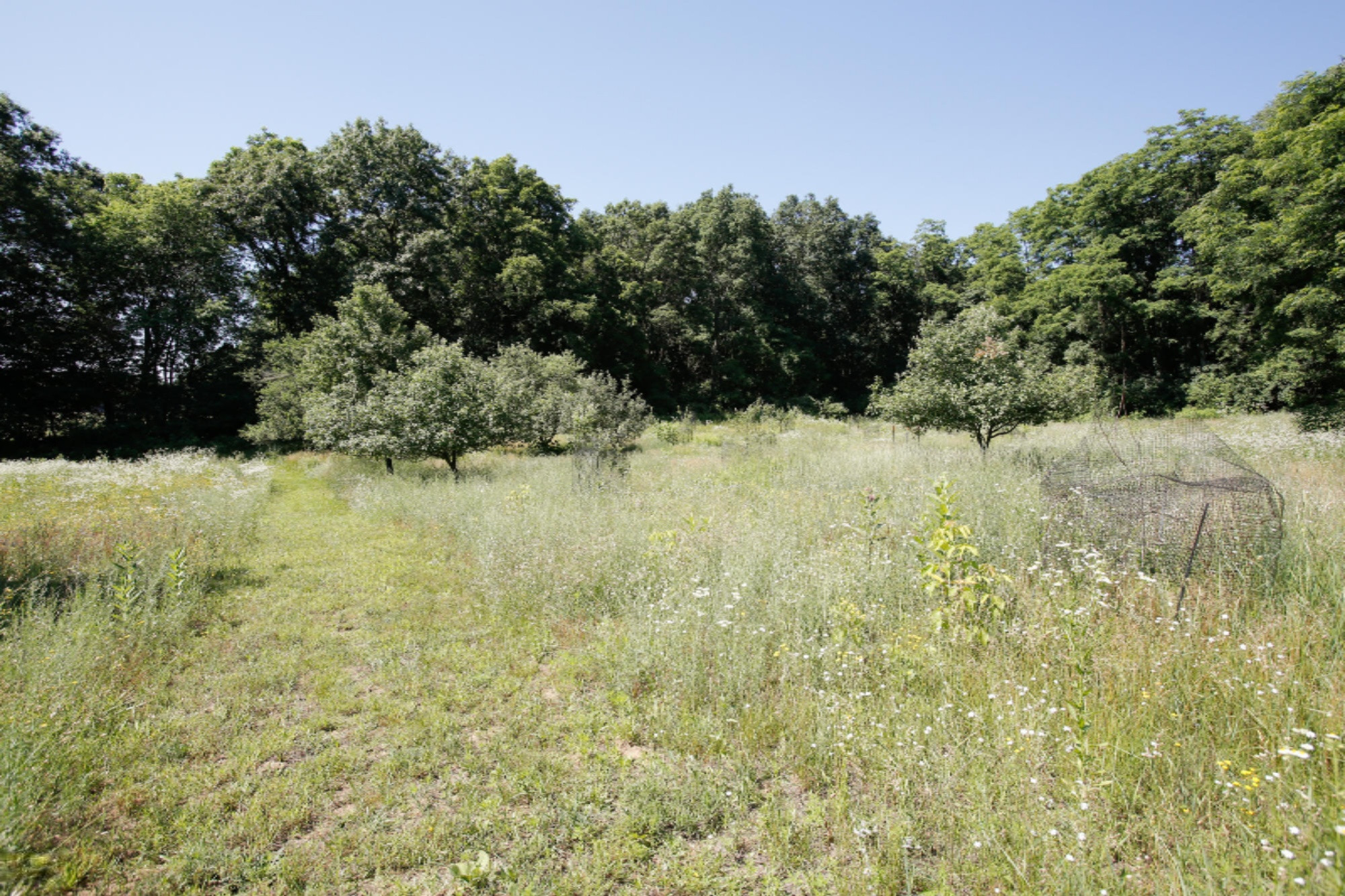 44 Baseline Road Battle Creek, MI 49017 - Photo 36 of 40 44 baseline-134
