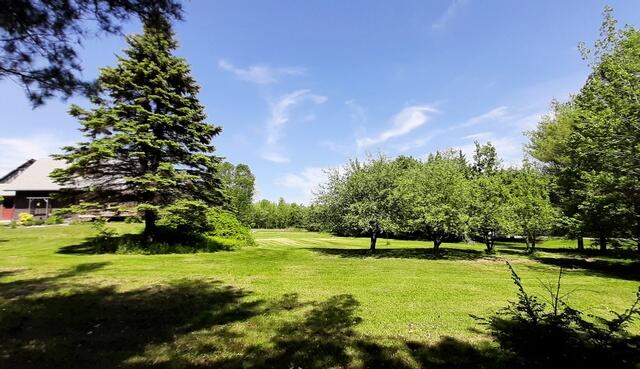 233 Bartlett Road Belgrade, ME 04917 - Photo 4 of 31 Liberty-sideyard