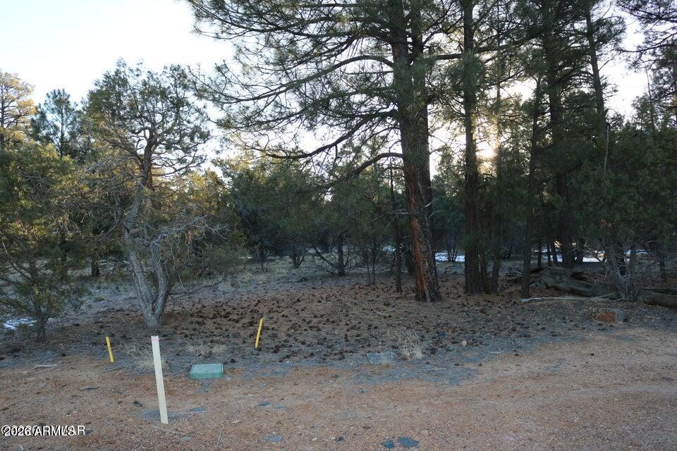 4610 West Hawthorn Road Show Low, AZ 85901 - Photo 5 of 15 a view of a forest with trees in the background