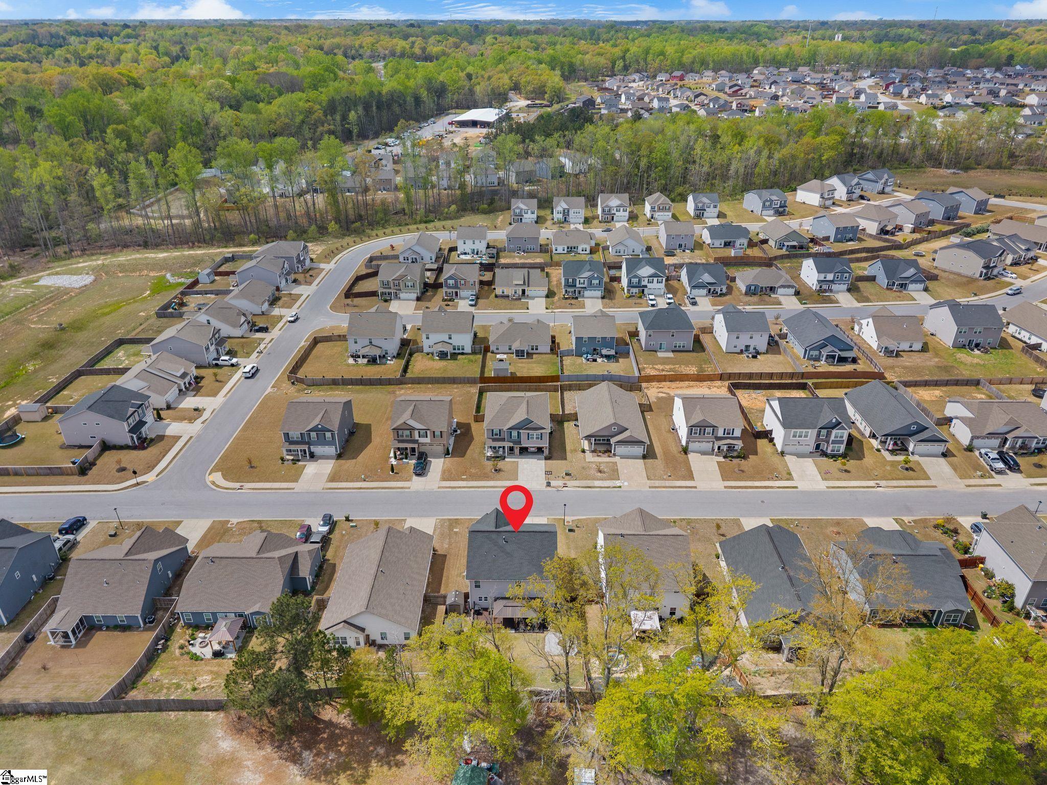 133 Frost Flower Way Fountain Inn, SC 29644 - Photo 29 of 33 Gallery Image 29