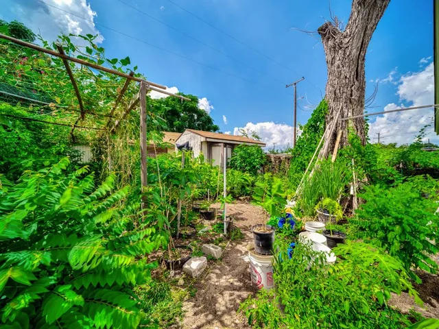a backyard of a house with lots of green space and garden view