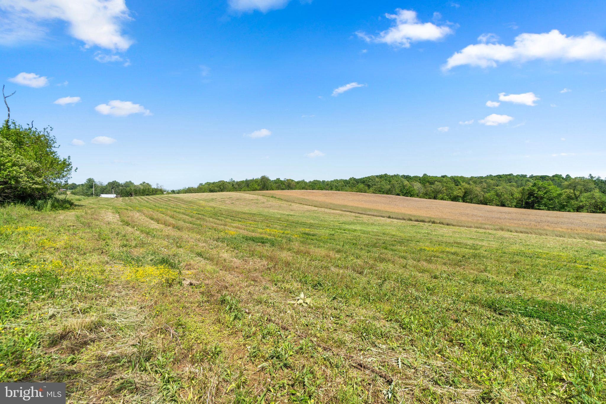 2341 Cross Section Road Westminster, MD 21158 - Photo 13 of 31 a view of an ocean and beach