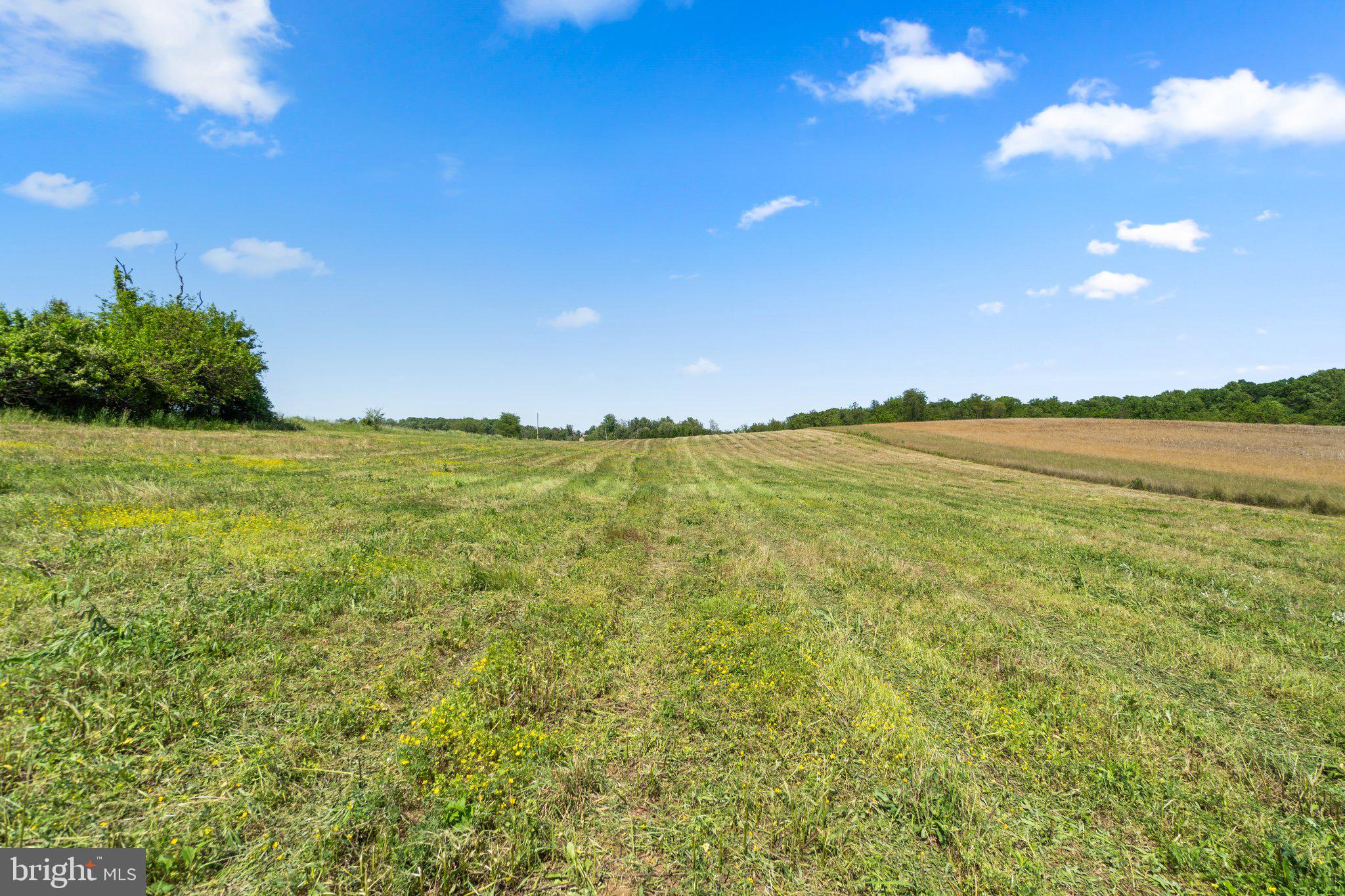 2341 Cross Section Road Westminster, MD 21158 - Photo 14 of 31 a view of an ocean and beach