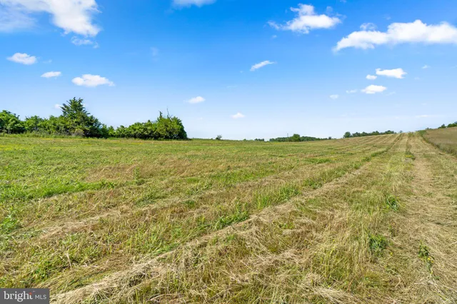 a view of an ocean from a yard