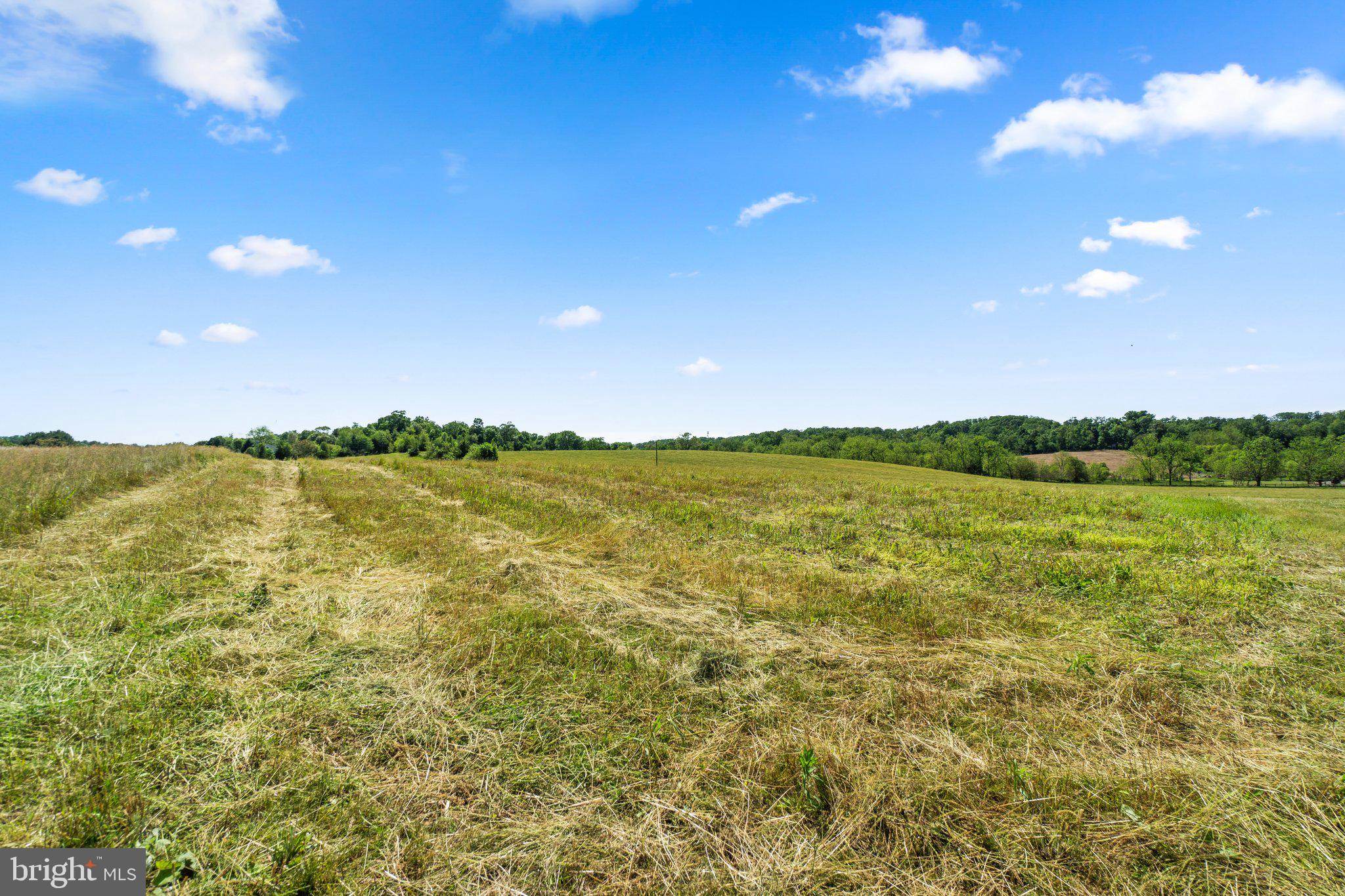 2341 Cross Section Road Westminster, MD 21158 - Photo 17 of 31 a view of an ocean from a yard