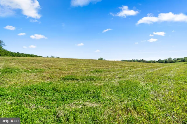 a view of a field with an ocean