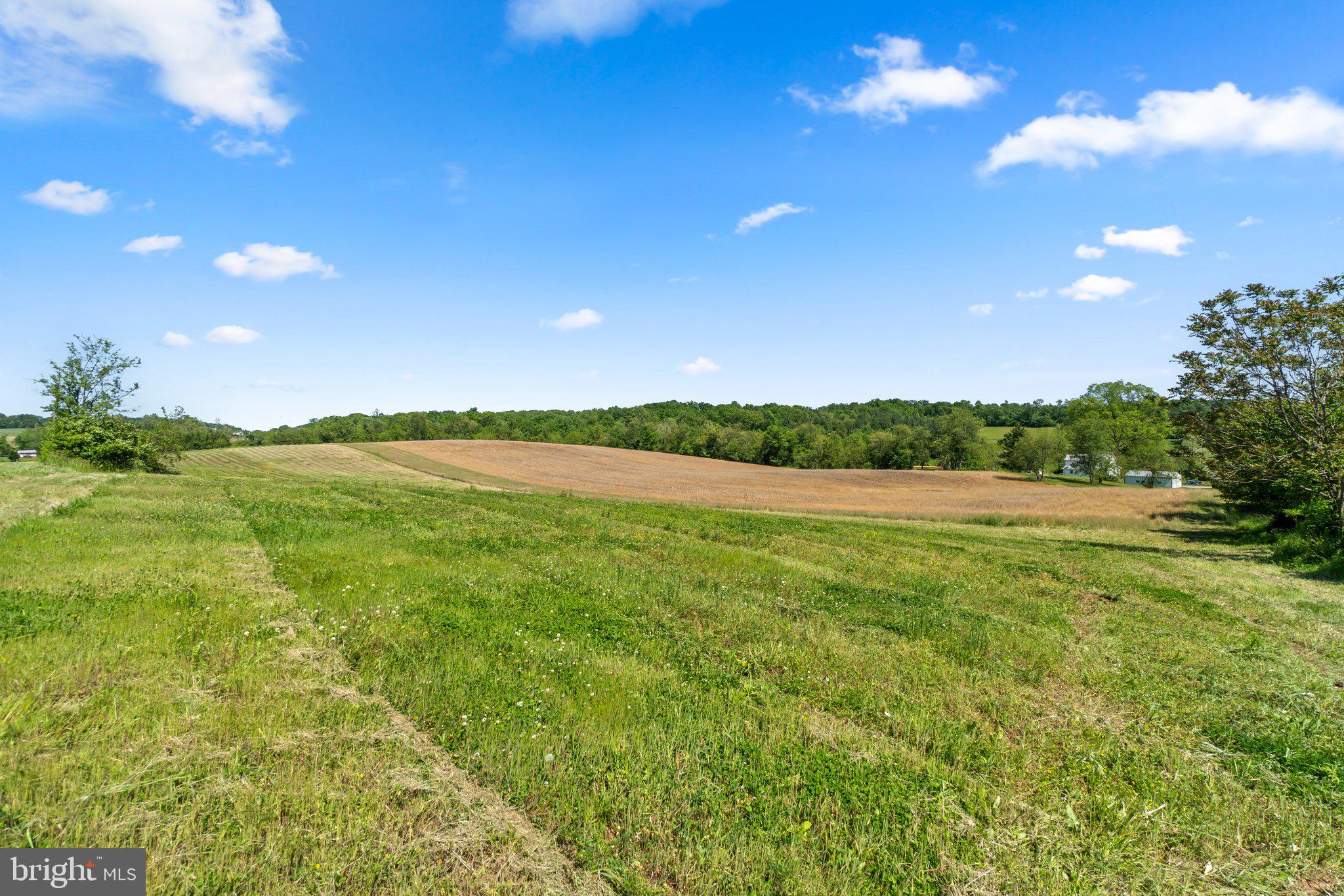 2341 Cross Section Road Westminster, MD 21158 - Photo 2 of 31 a view of an outdoor space and yard