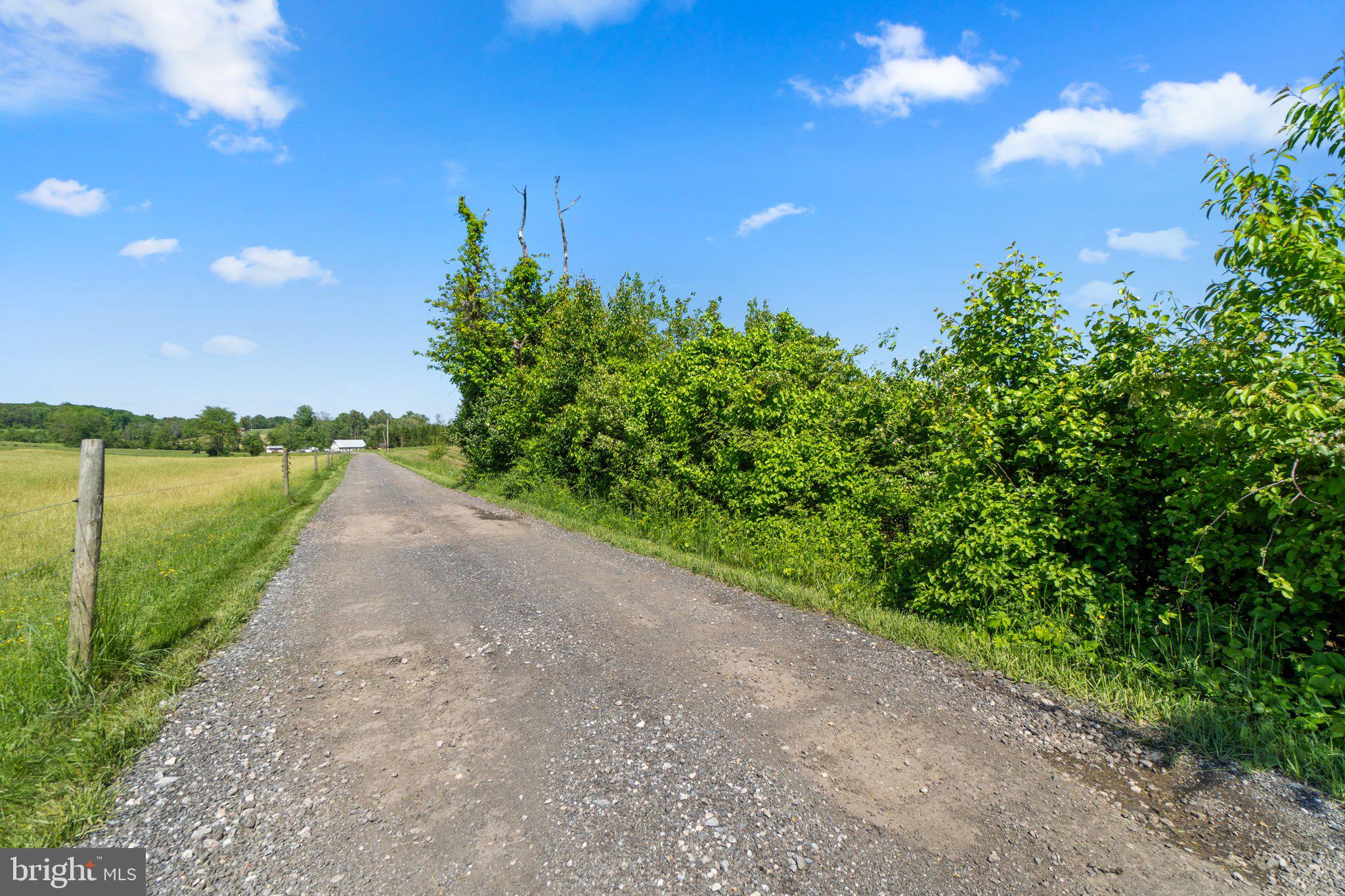 2341 Cross Section Road Westminster, MD 21158 - Photo 22 of 31 a view of a street with a garden